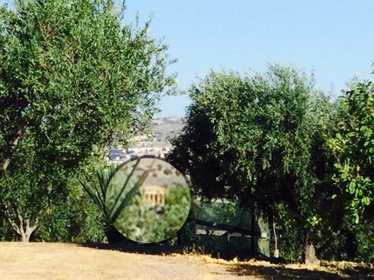Bed and Breakfast Il Colle Del Rustico Agrigento Zewnętrze zdjęcie