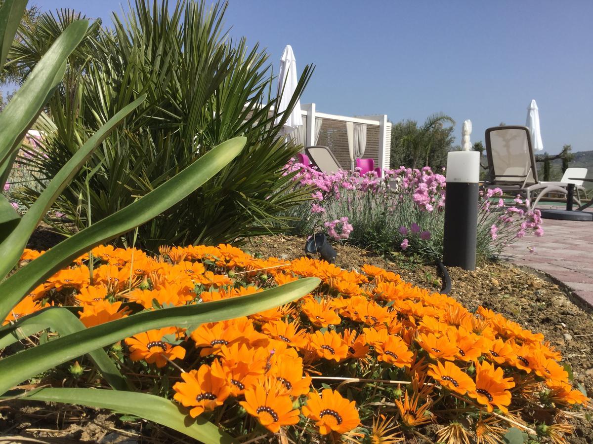 Bed and Breakfast Il Colle Del Rustico Agrigento Zewnętrze zdjęcie