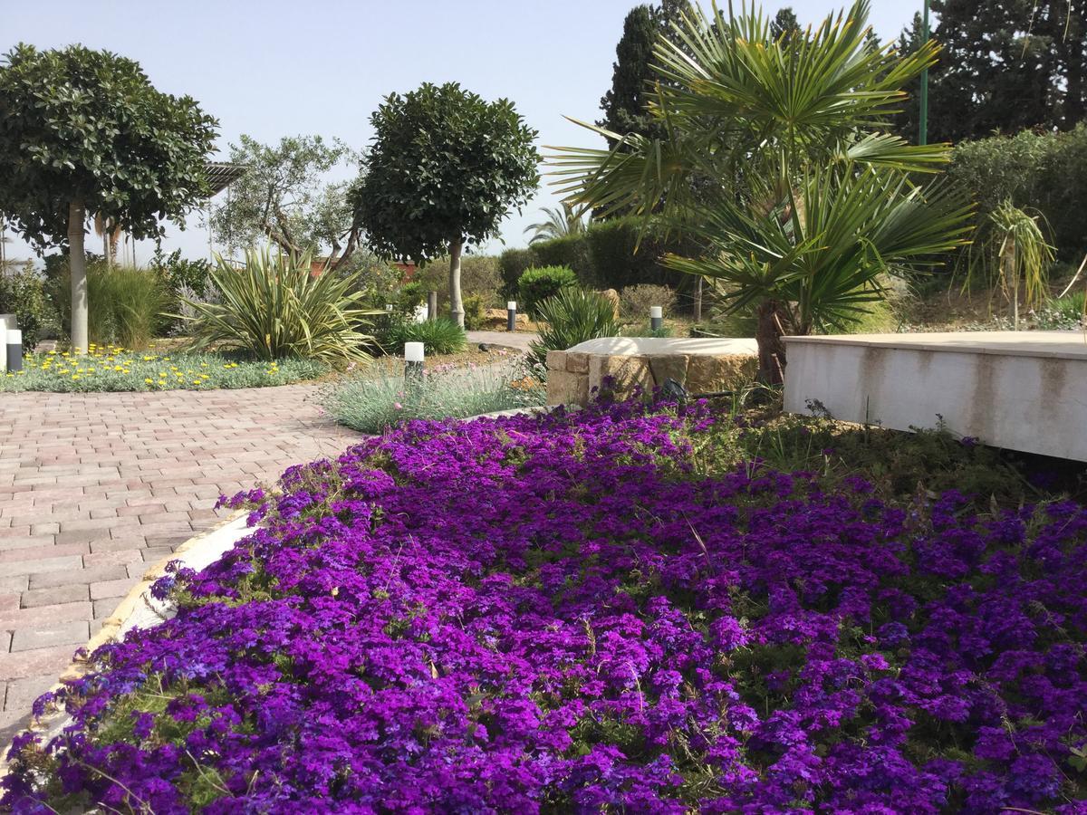 Bed and Breakfast Il Colle Del Rustico Agrigento Zewnętrze zdjęcie
